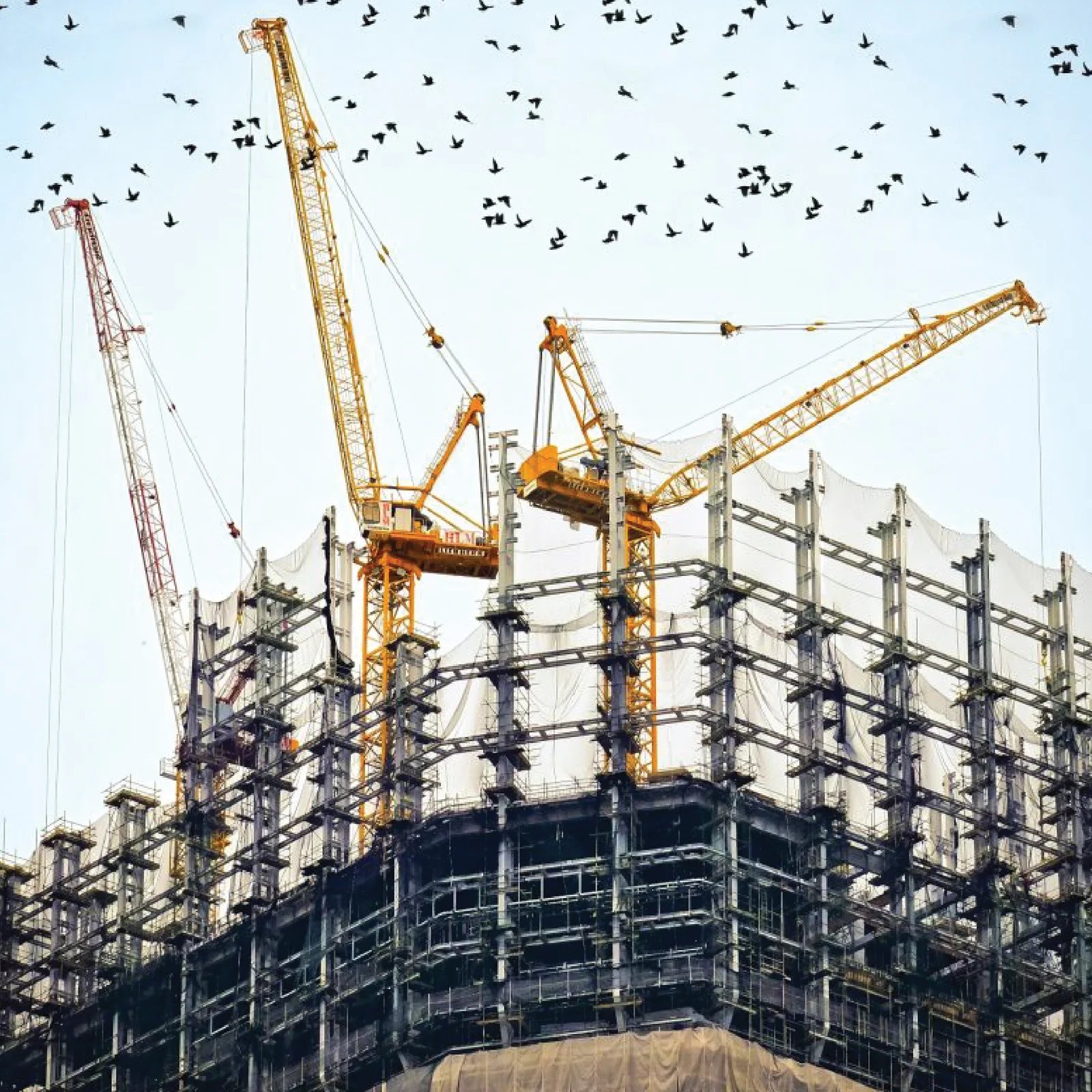 Structure design and Engineering